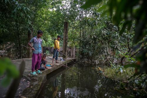 ফেনী